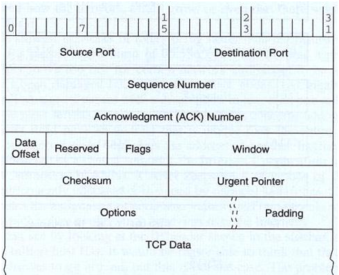 1001_TCP Segment Structure.png